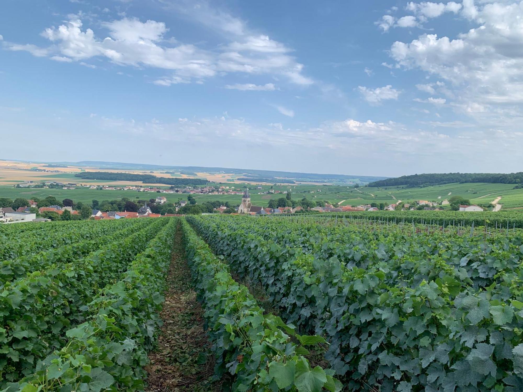 Les Suites Champenoises Tinqueux Zewnętrze zdjęcie